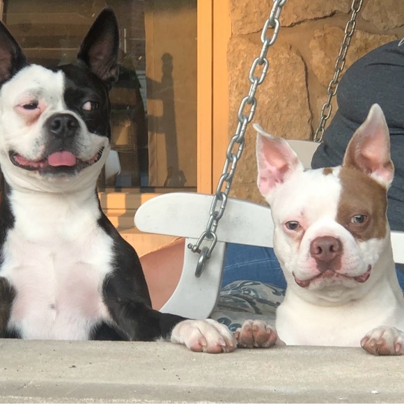 Meet your Posh Ambassador Karen - Picture 4 of 5